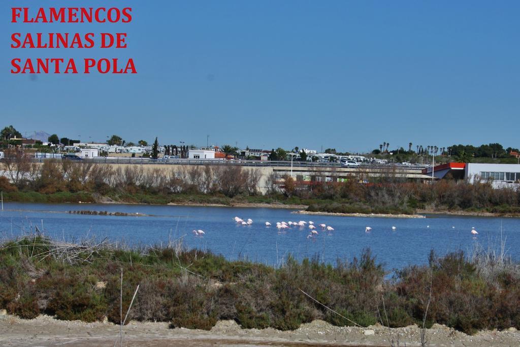 Estudio Marina De Apartment Santa Pola